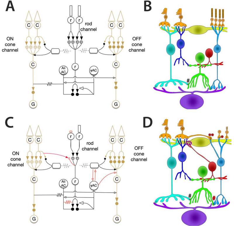 Figure 7: