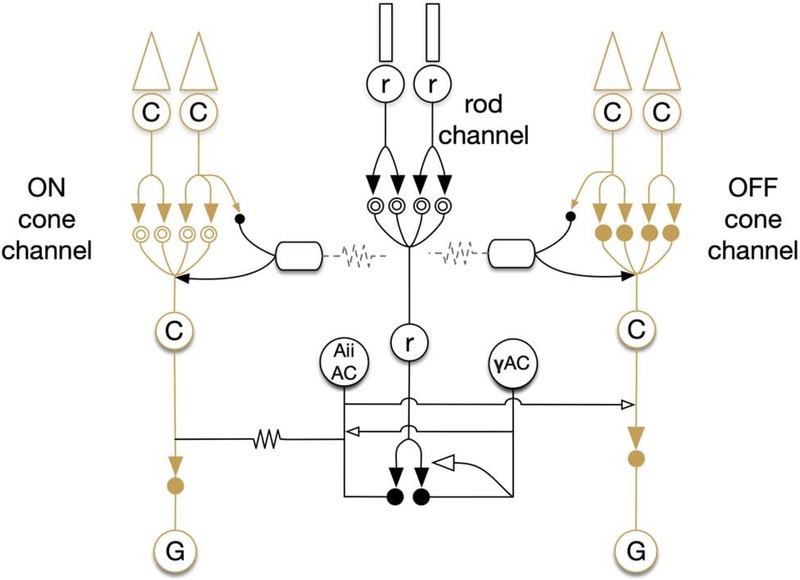 Figure 2: