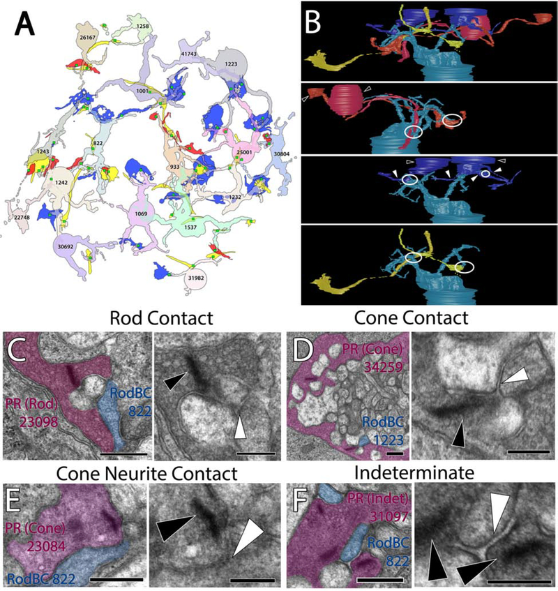 Figure 3: