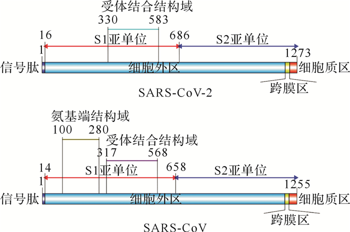 图2