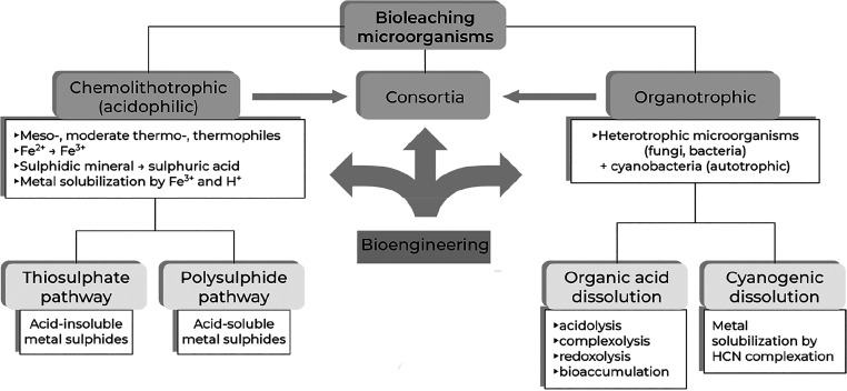 Figure 143