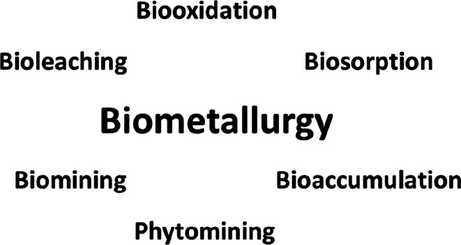 Figure 28