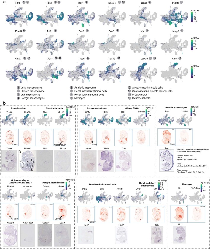 Extended Data Fig. 6