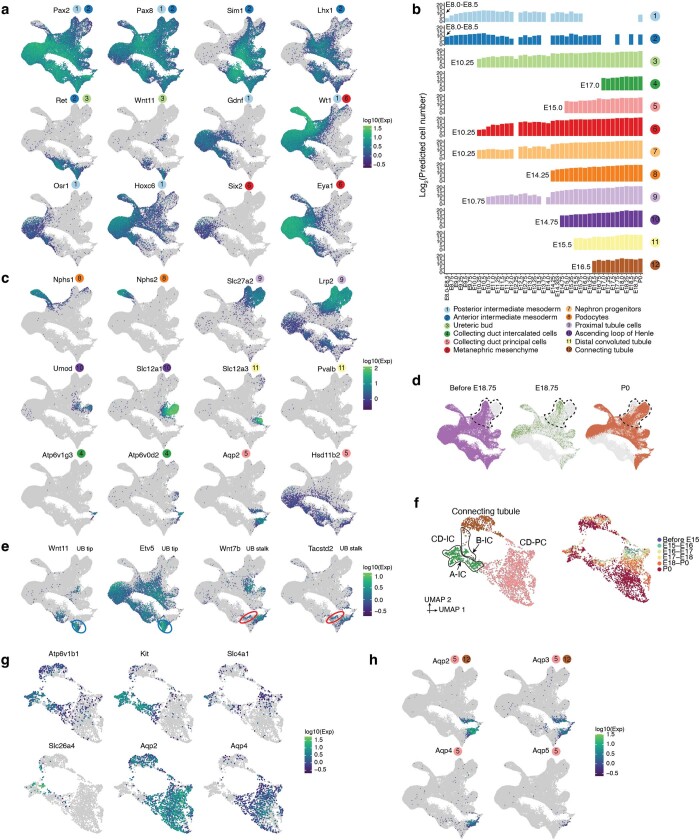 Extended Data Fig. 5