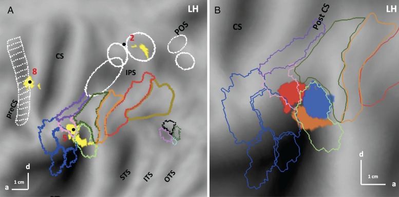 Figure 6.