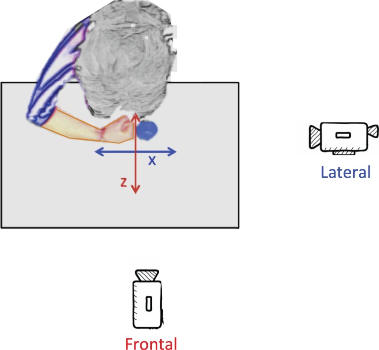 Figure 2.