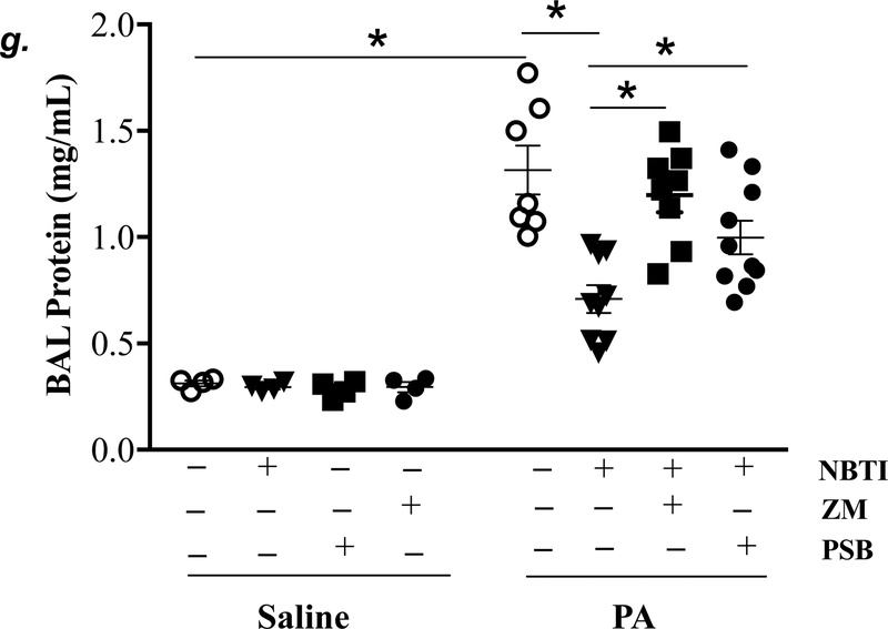 Figure 5: