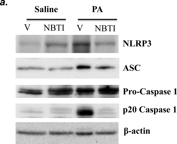 Figure 6: