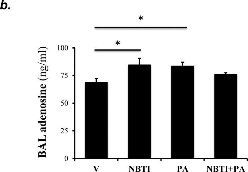 Figure 5: