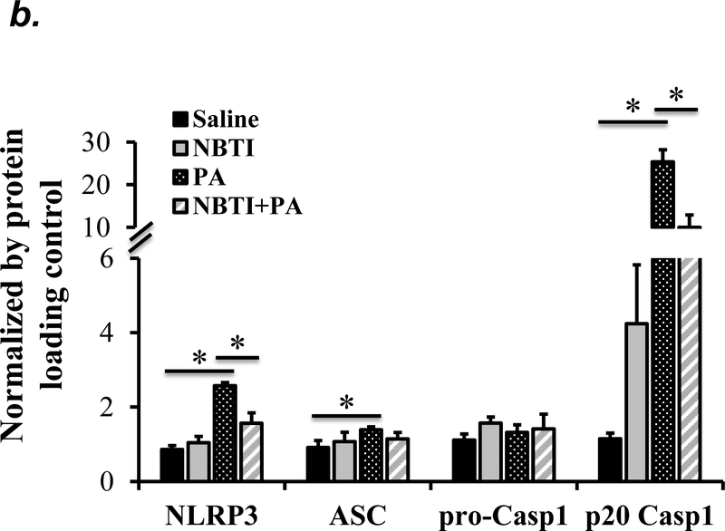 Figure 6: