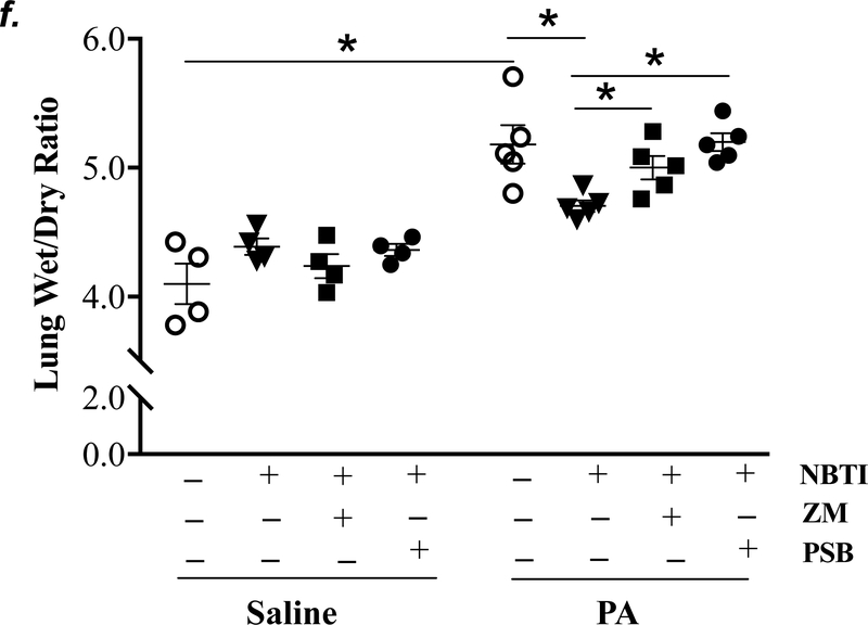 Figure 5: