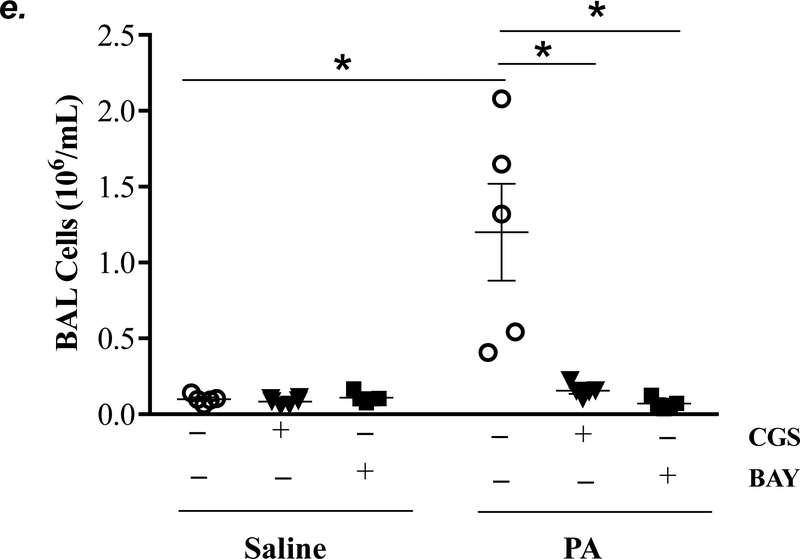 Figure 5: