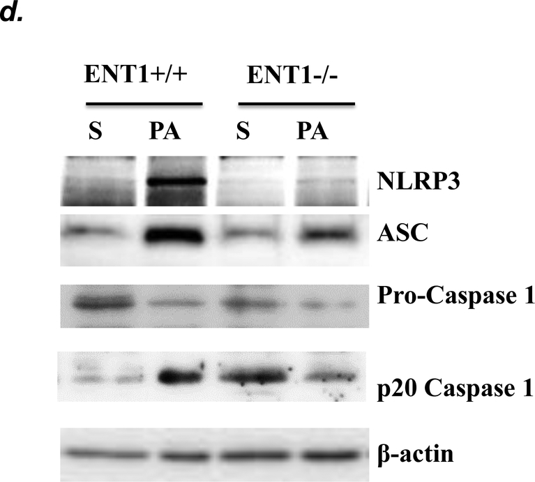 Figure 6: