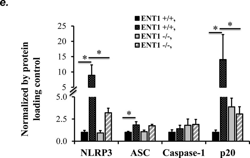 Figure 6: