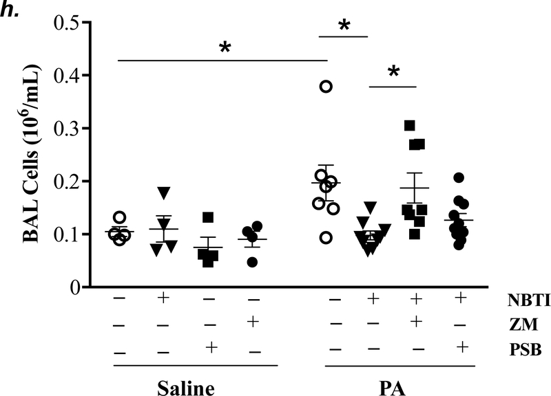 Figure 5: