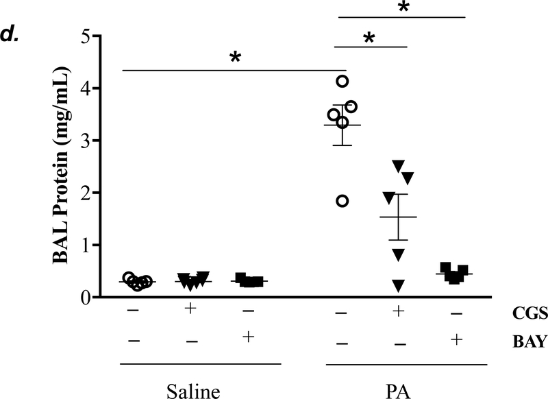 Figure 5: