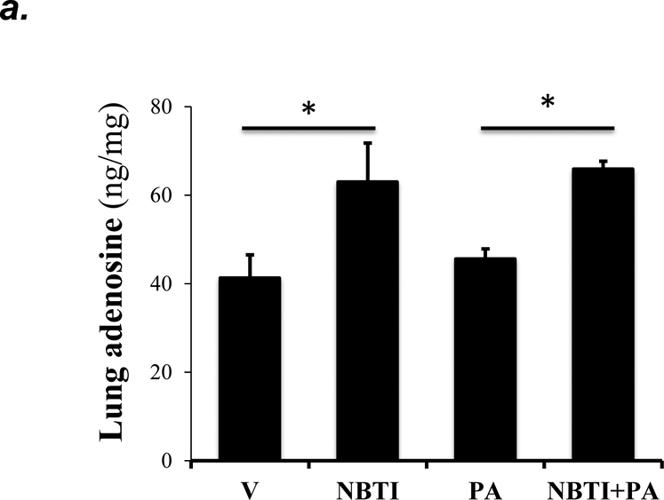 Figure 5: