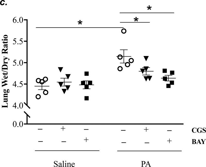 Figure 5: