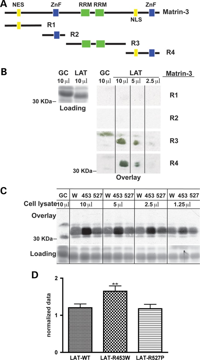 Figure 4.