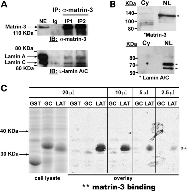 Figure 3.