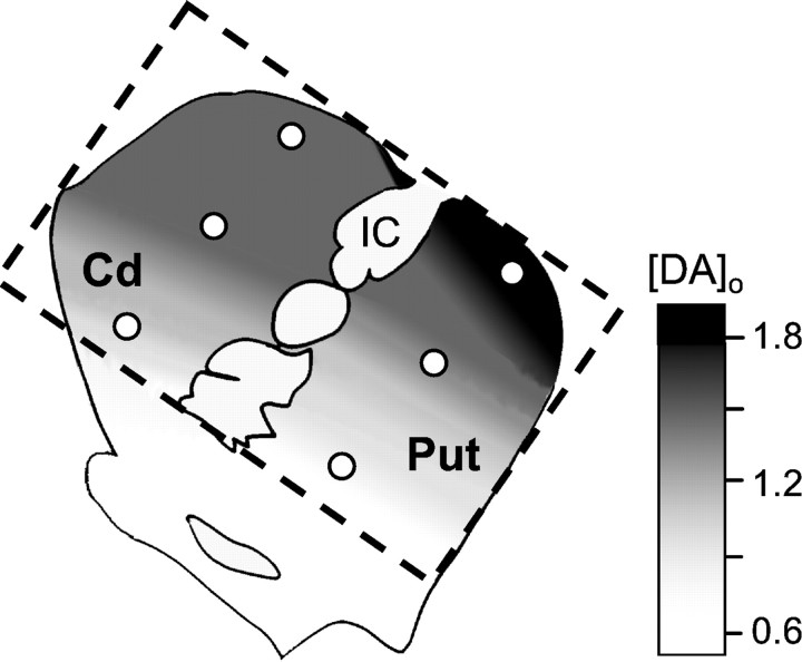 Fig. 5.