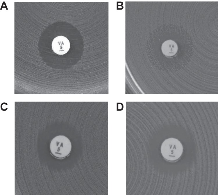 FIG 2