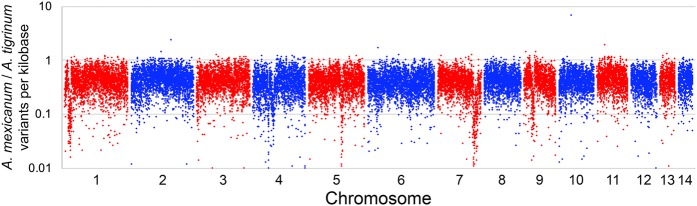 Figure 3.