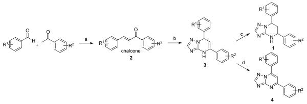 Scheme 3