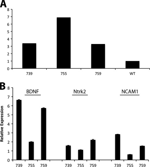 FIGURE 1.