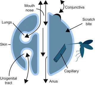 Figure 3.2