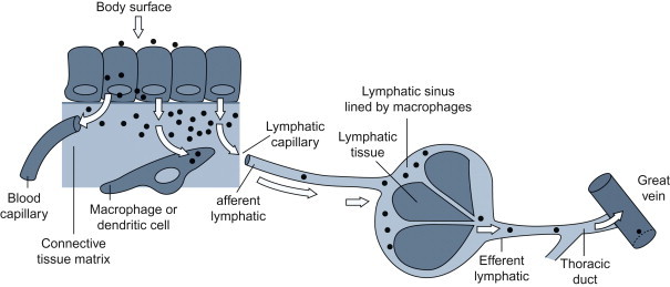 Figure 3.4