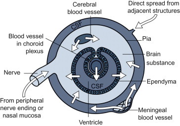 Figure 3.13