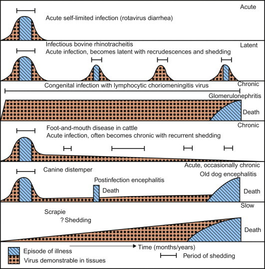 Figure 3.15