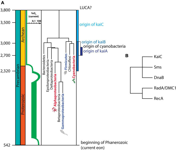 FIGURE 3