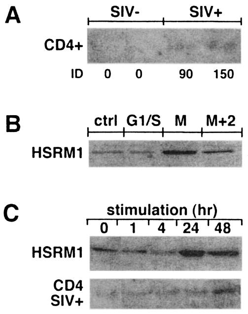 FIG. 8.