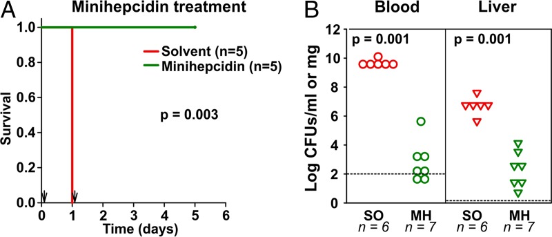 FIG 3