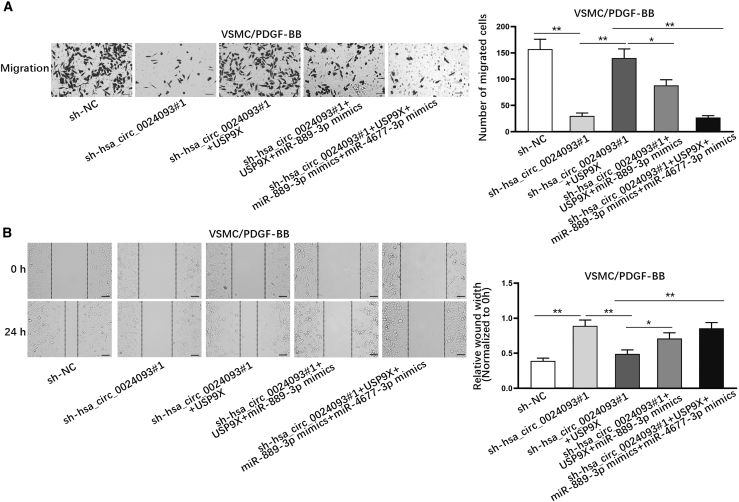 Figure 6