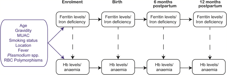 Figure 1