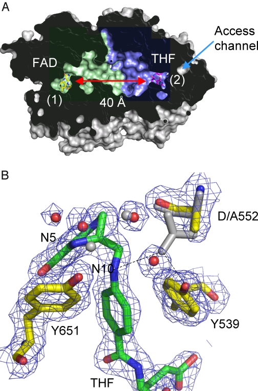 FIGURE 2.