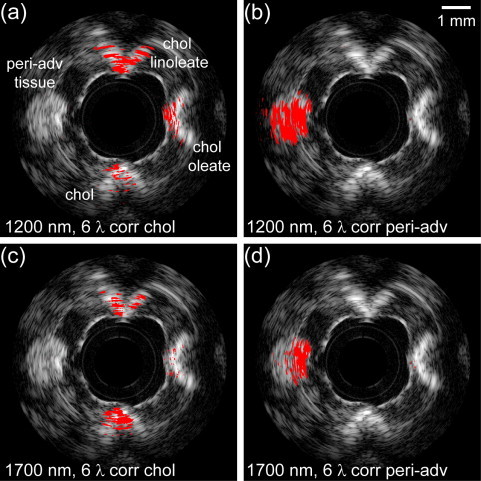 Fig. 3