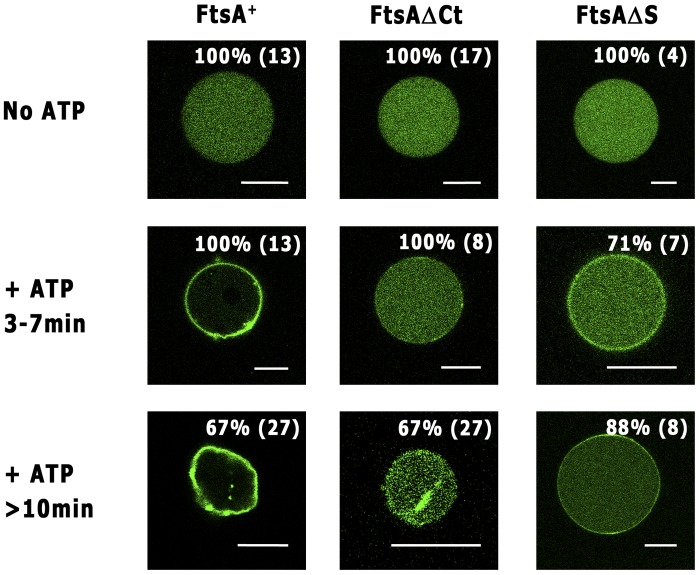 FIG 3 