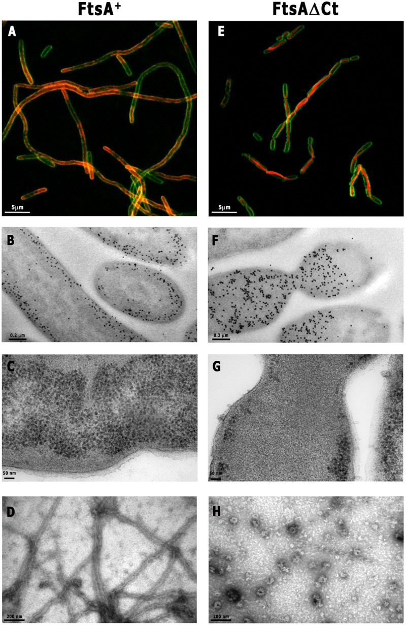 FIG 2 