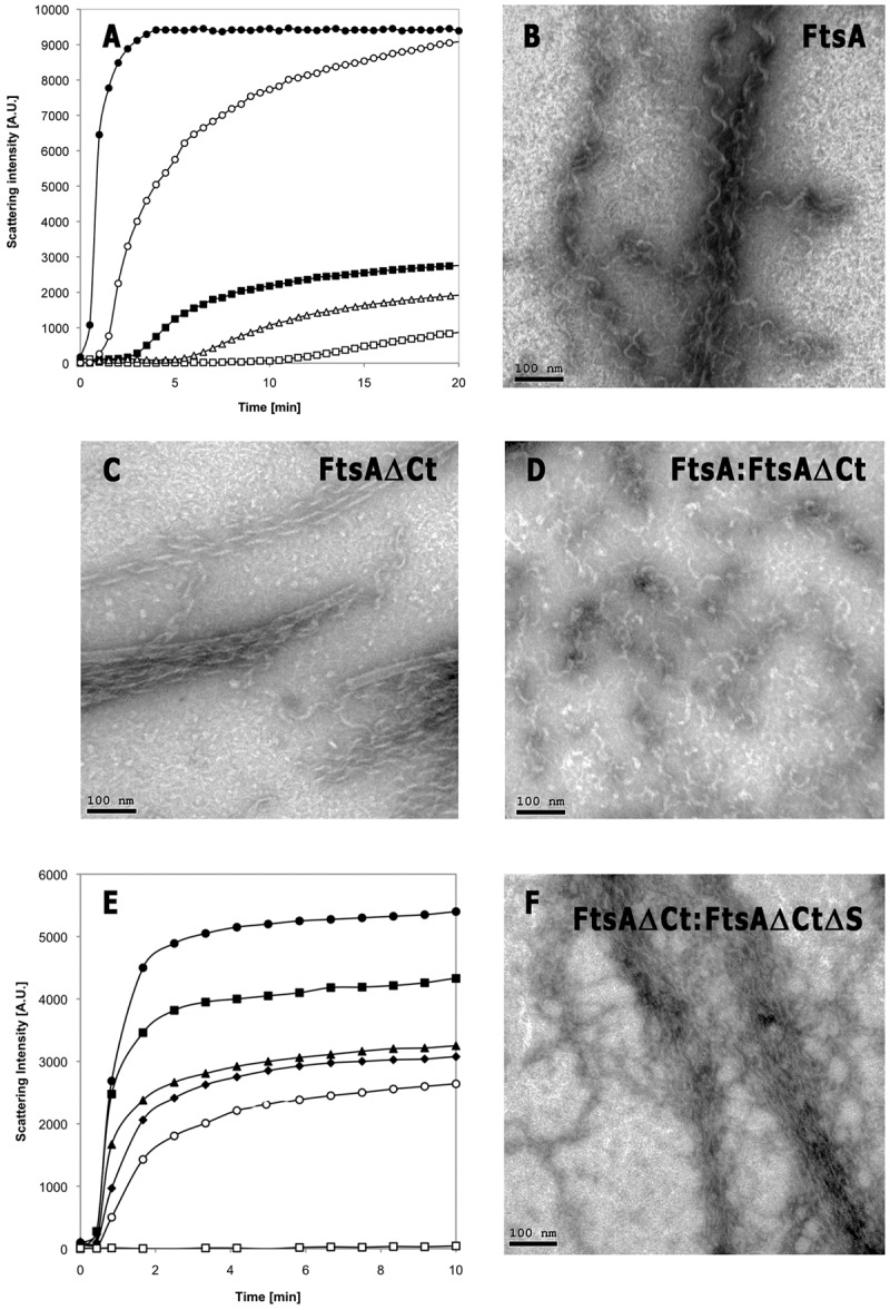 FIG 1 