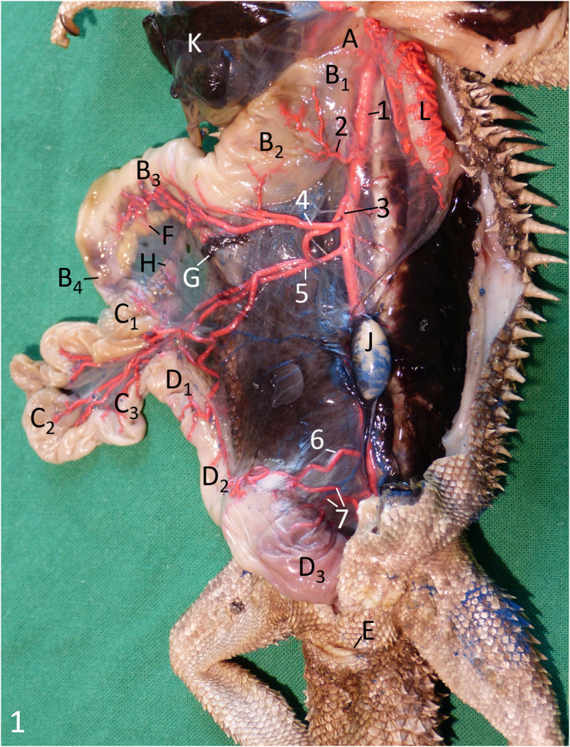 Fig 1