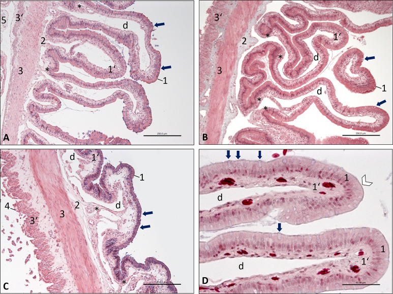 Fig 6