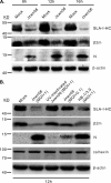FIG 3