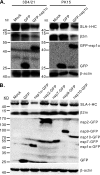 FIG 5