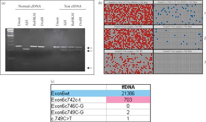 UOG-14746-FIG-0003-c