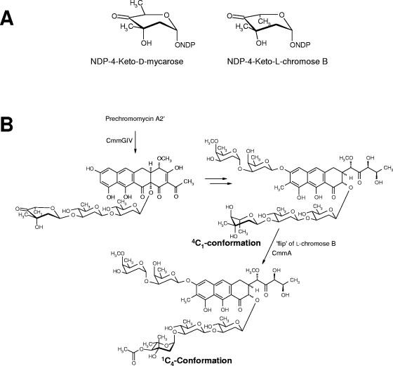 FIG. 6.