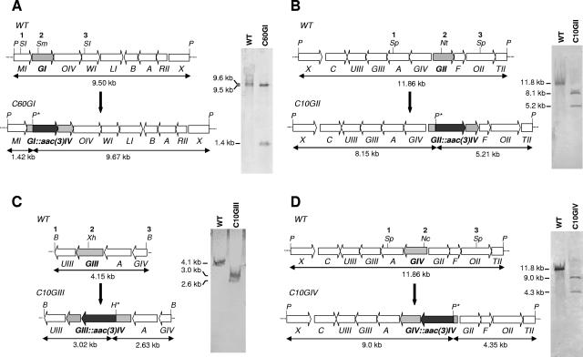 FIG. 2.